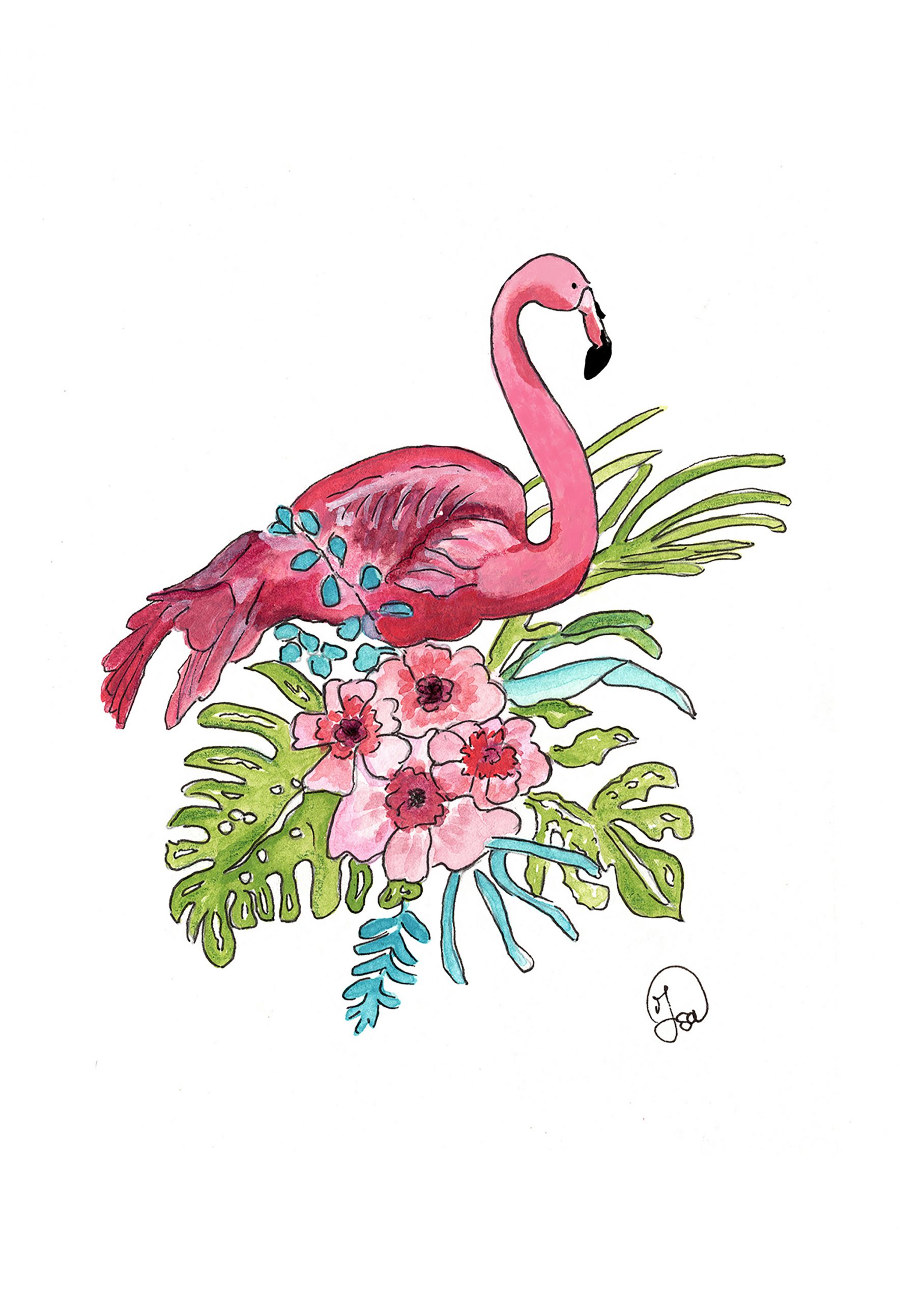 Le flamand rose