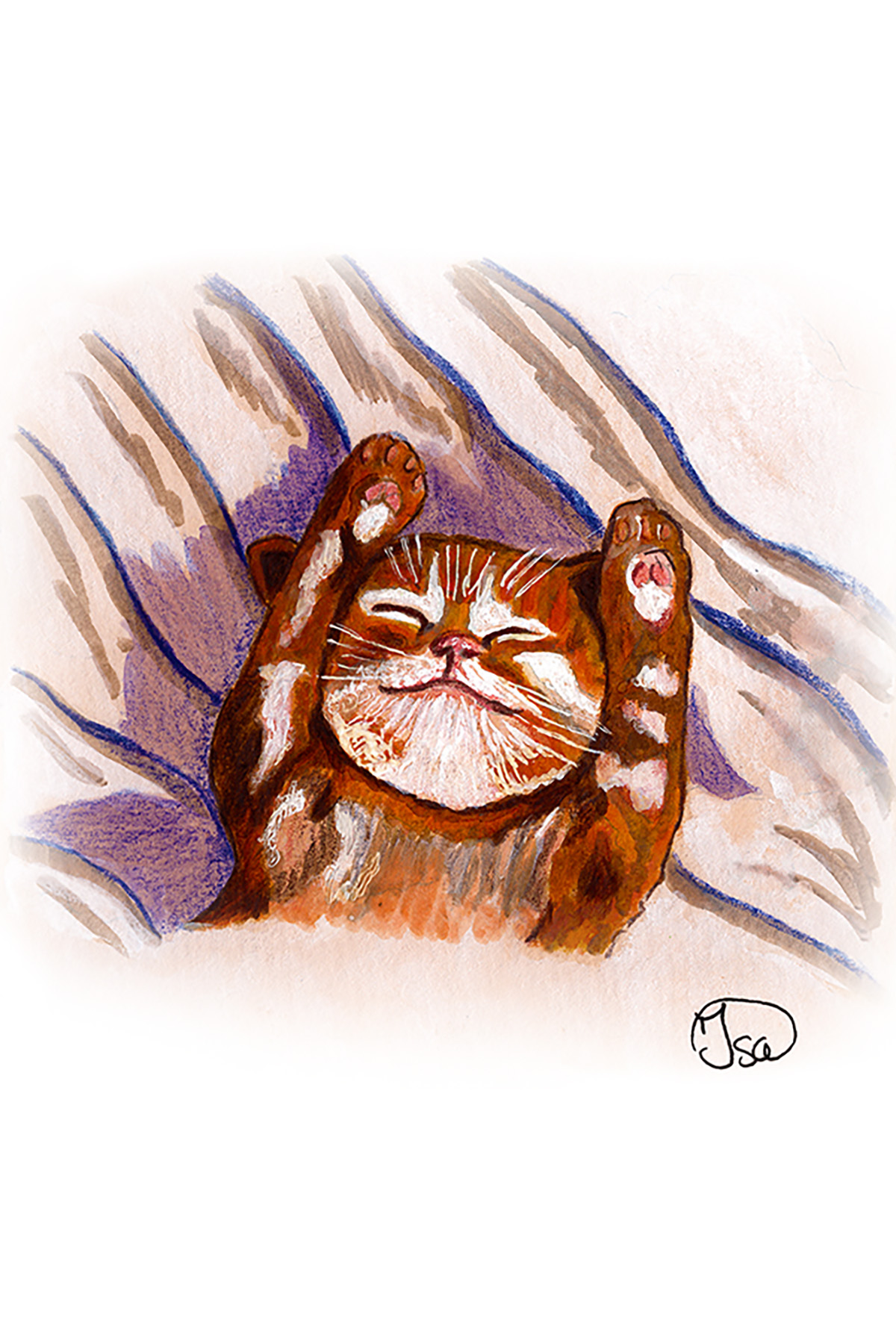 Petit chaton bien au chaud